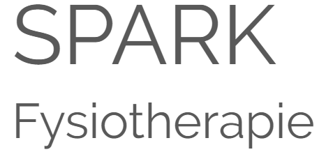 spark-fysiotherapie-logo